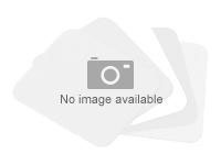 Adaptador transparencias Epson A3 GT-12000 (B12B813103)